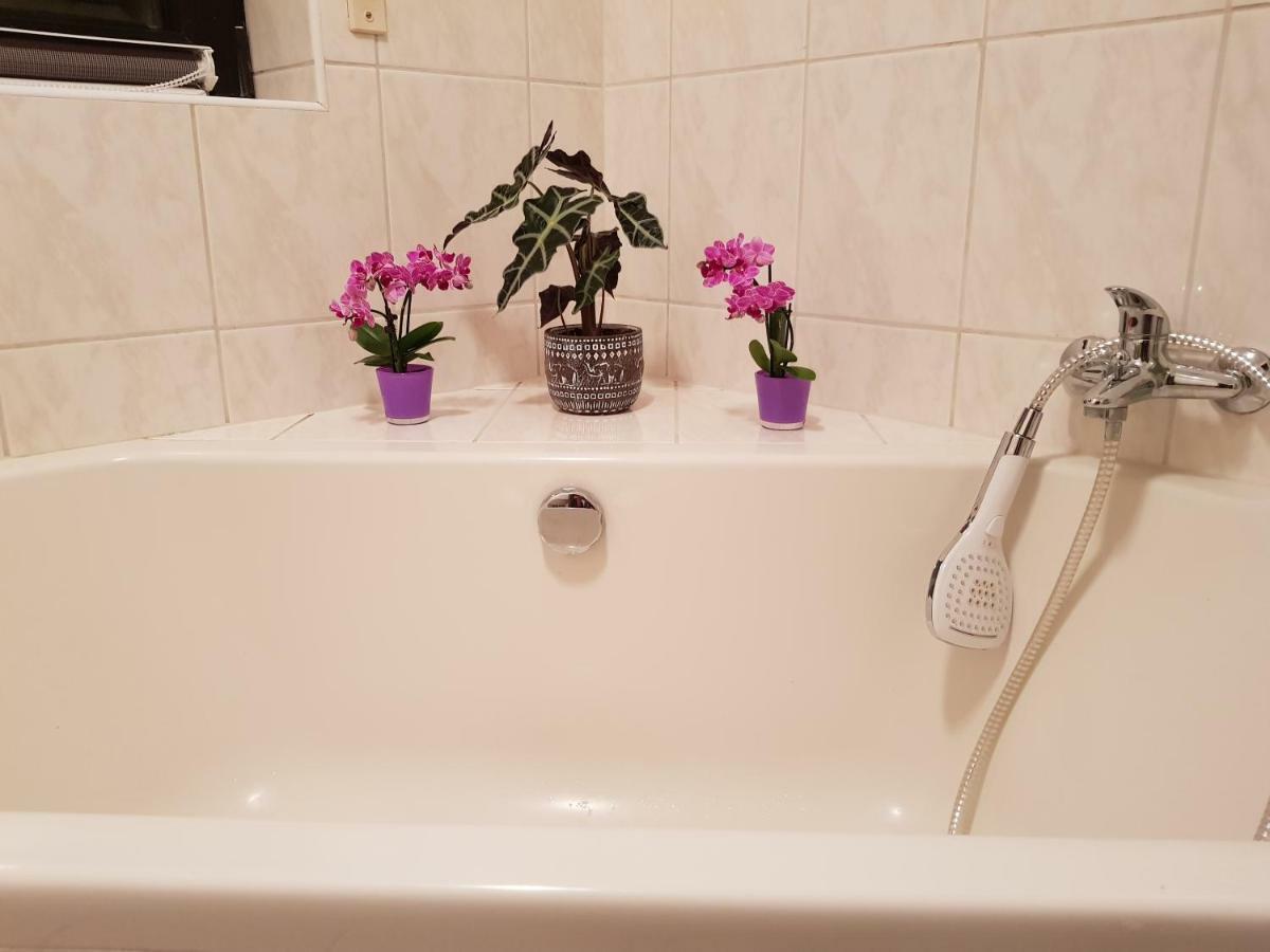 Ferienwohnung Tinas Beauty 네카어슈타이나흐 외부 사진